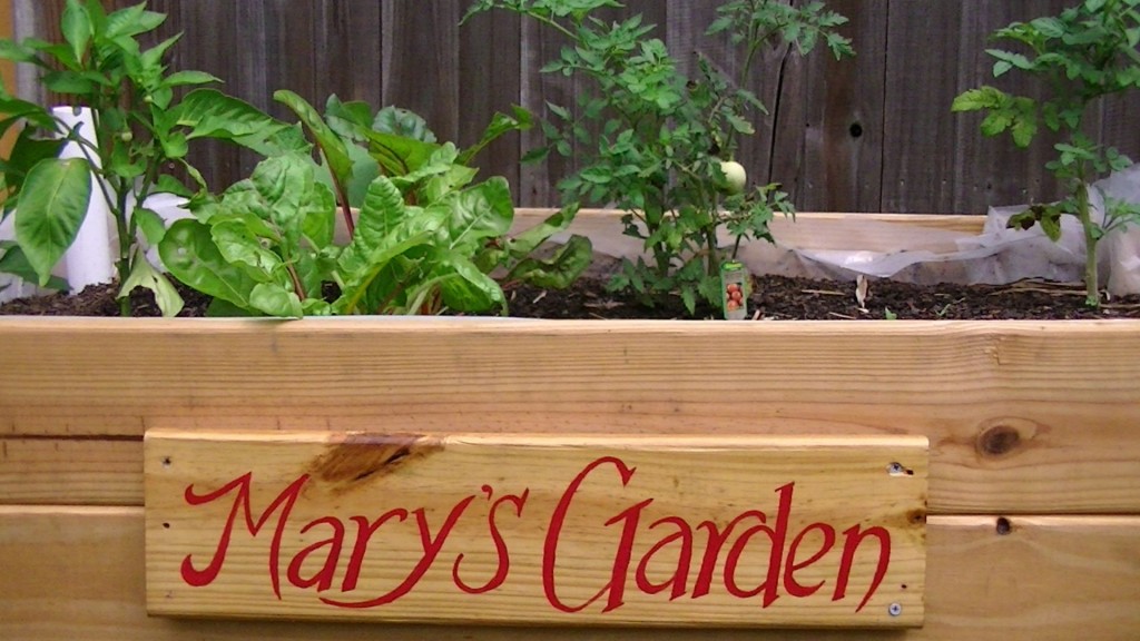 Mary's Garden Box 2